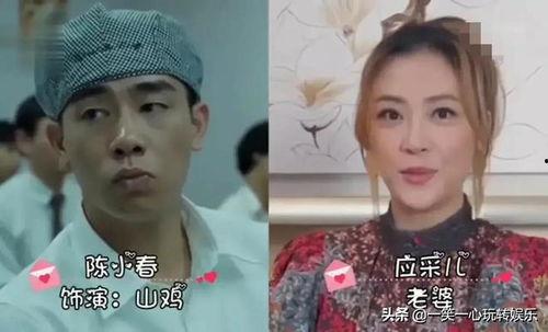 山鸡老婆爆料视频大全,揭秘娱乐圈背后的真实故事  第1张