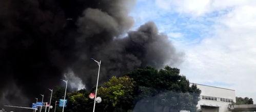 永川吵架爆料事件最新,冲突升级，网络热议背后的真相揭晓